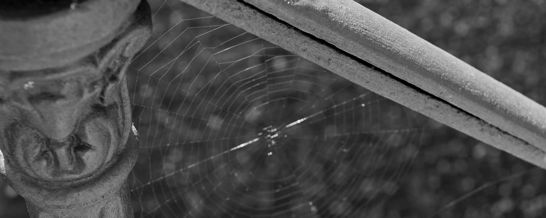 Don Diseño - Cómo hacer un presupuesto de servicios profesionales. Materiales y Herramientas de apoyo. - Tela de Araña en escalera. Fuerte del Rapitan, Jaca, Huesca. 2011 - Carlos Luzón